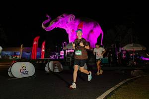 BIB: 
                            <button type="button" onclick="openModal(26535215)" class="btn btn-primary btn-sm float-right btn-popup" data-toggle="modal" data-target=".modal-high-quality">
                        <i class="fas fa-shopping-cart"></i> Add to Cart
                    </button>
                                            <button type="button" onclick="isThisMe(26535215, true)" class="btn btn-success btn-sm float-right btn-popup btn-isme hidden" data-toggle="tooltip" data-placement="bottom" title="นี่คือรูปของคุณใช่ไหม คลิกที่นี่เพื่อเอาเข้าอัลบั้ม">
                        <i class="fas fa-plus"></i> Add to album
                    </button>
                    <button type="button" onclick="isThisMe(26535215, false)" class="btn btn-warning btn-sm float-right btn-popup btn-isnotme hidden">
                        <i class="fas fa-ban"></i> Remove from album
                    </button>